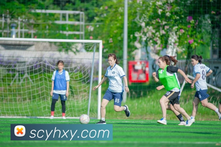 世界杯体彩竞猜平台生态图