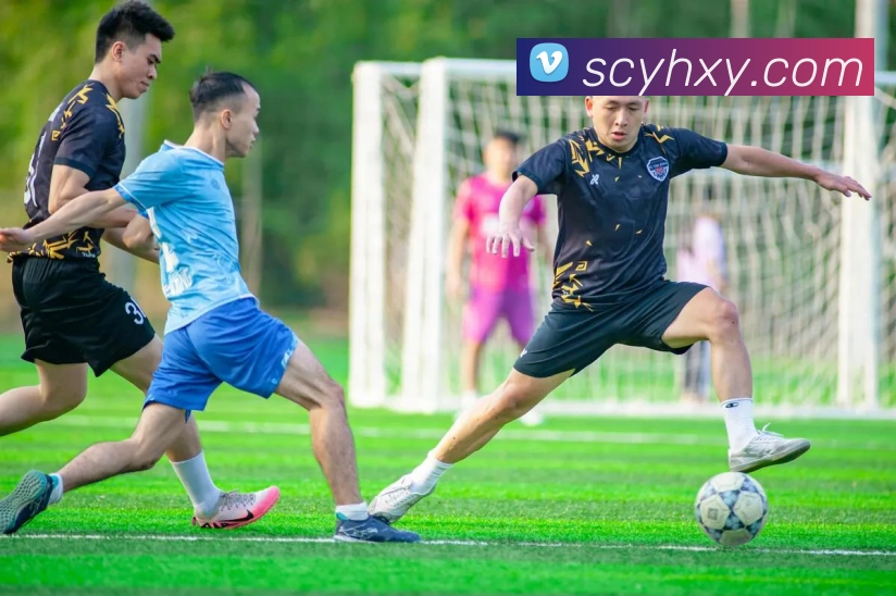 数据防护可视化